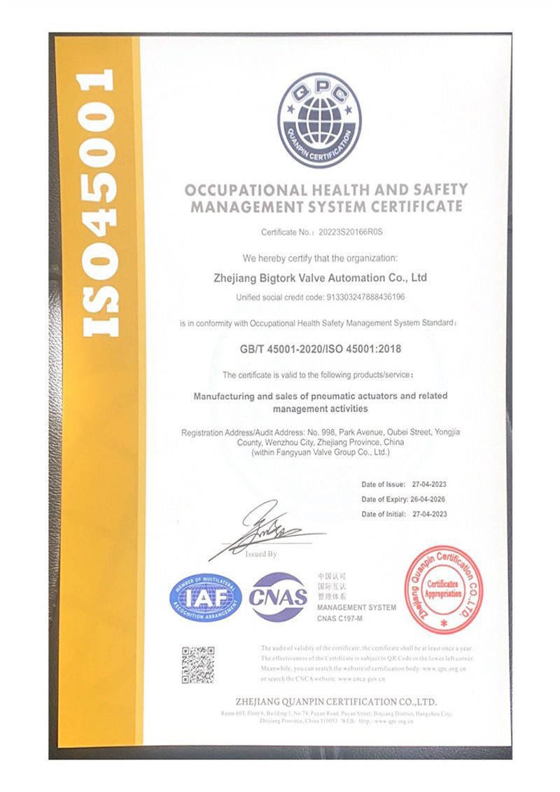 ISO 45001 EN ISO 45001 EN